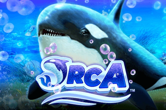 08977 orca
